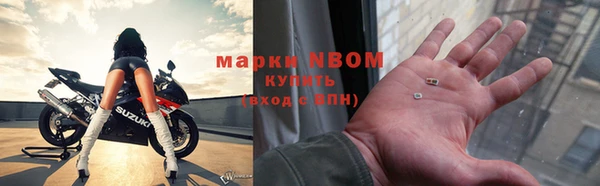 прущий лед Пересвет