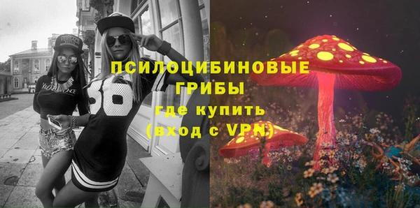 тгк Переславль-Залесский