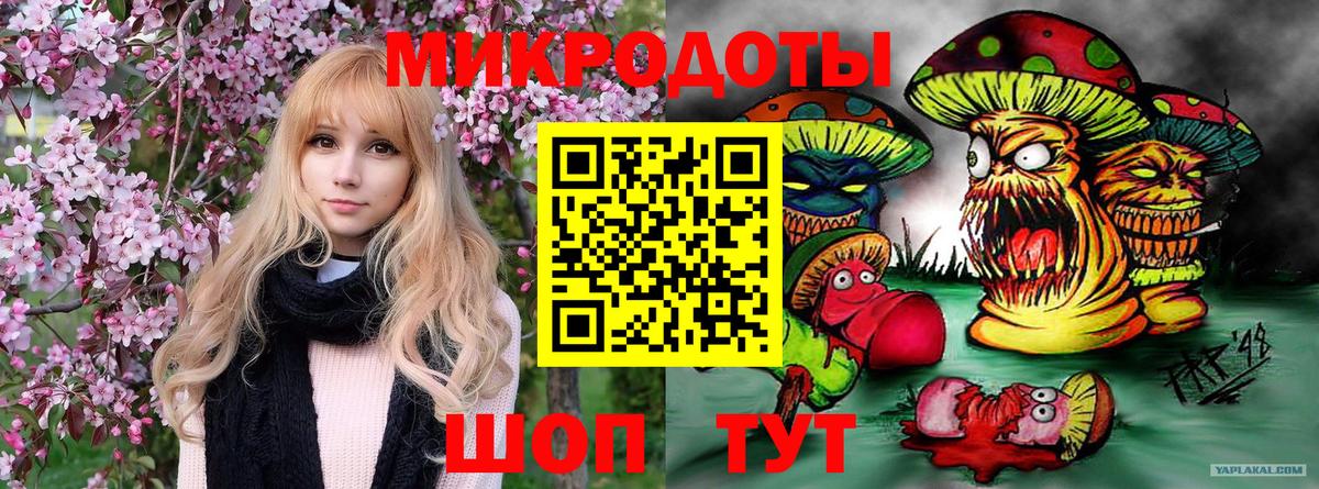 Галлюциногенные грибы Cubensis  Тобольск 