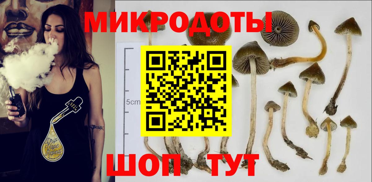 Тобольск  Псилоцибиновые грибы GOLDEN TEACHER  Вход с VPN 